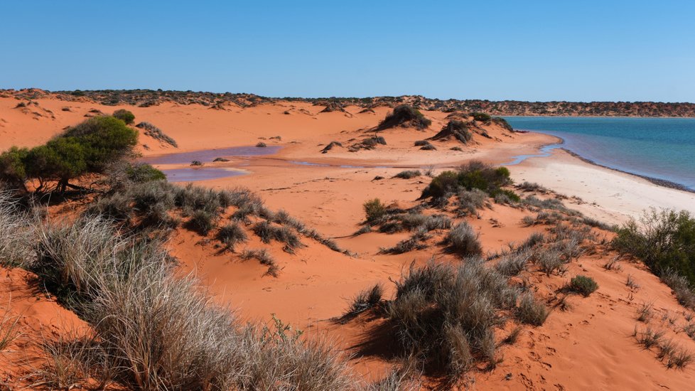 Art Western Australia